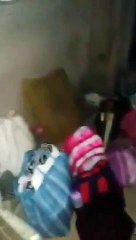 Cubanas con varios niños se plantan frente al Gobierno luego de que se les derrubaran la viviendas