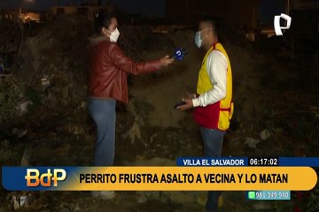 ¡Héroe caído! Perrito fue salvajemente asesinado de un disparo por salvar a vecina de robo en VES