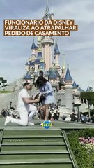 Disney: funcionário viraliza ao atrapalhar pedido de casamento em Paris
