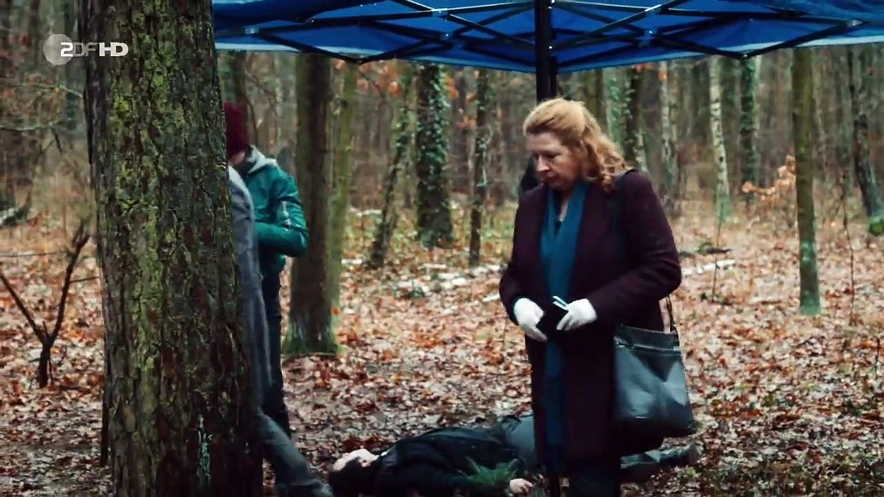 Der Kriminalist Staffel 15 Folge 5