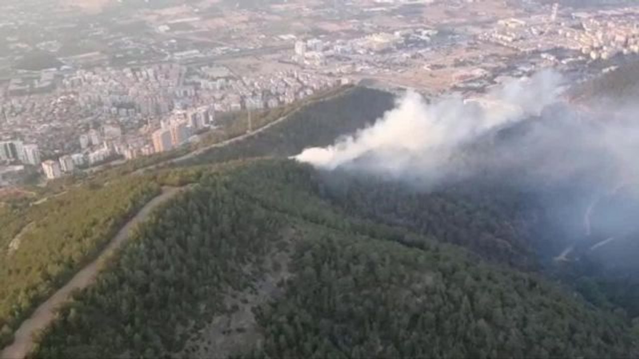 İzmir Balçova'da Orman Yangını