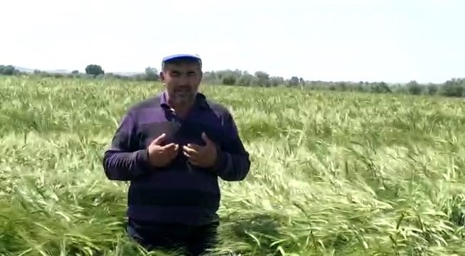 Kota cezasına çiftçi isyan etti: Traktörüme, arabama, evime haciz koydunuz. Ben ne yapacağım