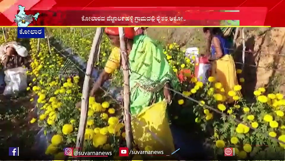 ಹೂ ಬೆಳೆದವರ ಬಾಳು ಬಾಡಿಸಿದ ಕೊರೋನಾ, ಹಣ್ಣು ಬೆಳೆದವರ ಹಿಂಡಿದ ಮಾರಿ