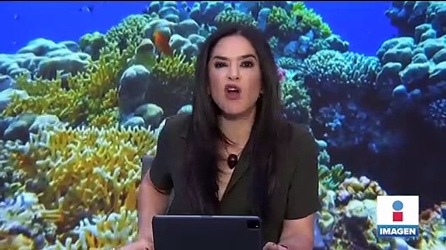 Dictan prisión preventiva al presunto feminicida de Montse Bendimes