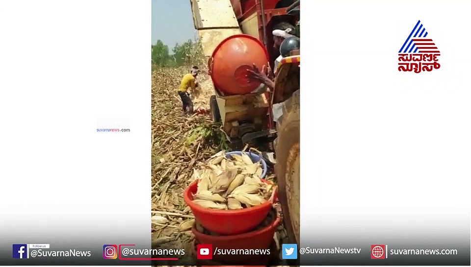 ಬೆಂಗಳೂರಿನ‌ ಟೆಕ್ಕಿ ಶಿವಮೊಗ್ಗದಲ್ಲಿ ಭರ್ಜರಿ ಕೃಷಿ ಕೆಲಸ..!