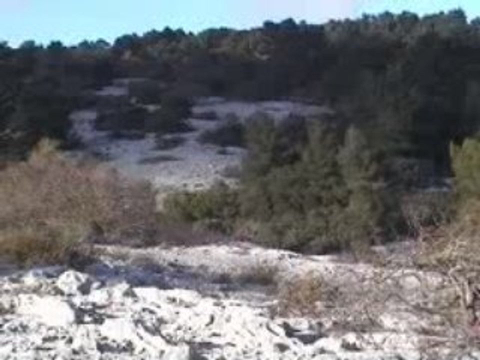Xalada