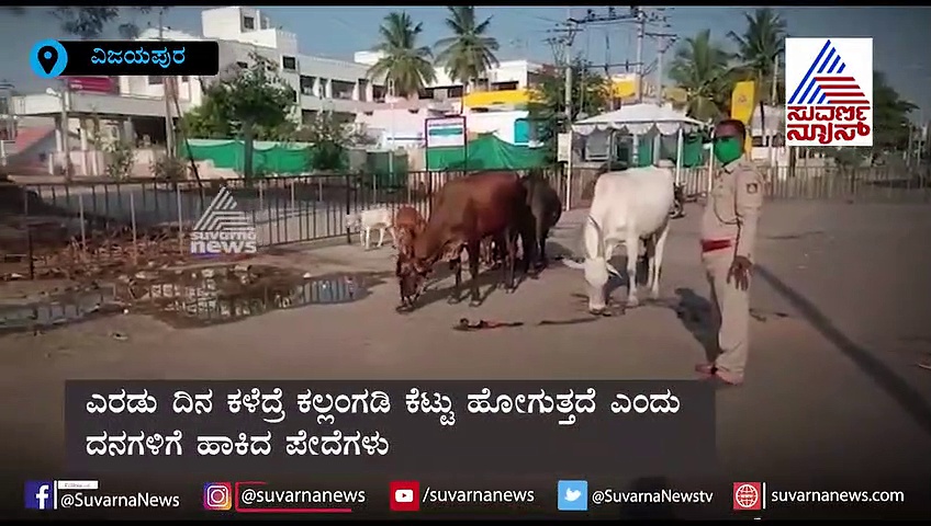ಪೊಲೀಸರ ಒಳ್ಳೆ ಕೆಲಸ ನೋಡಿ , ಹಸುಗಳ ಹೊಟ್ಟೆ ತುಂಬಿಸಿದ ಕಲ್ಲಂಗಡಿ