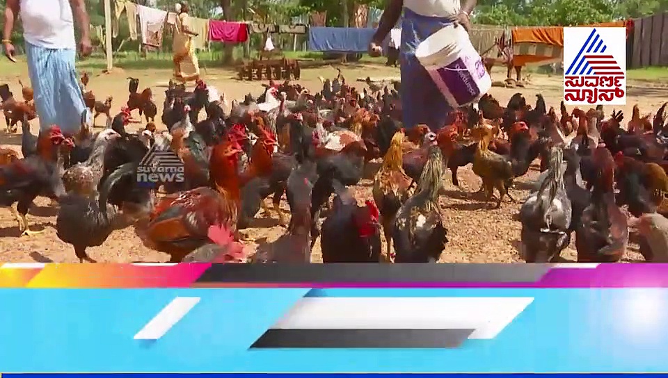 ಮೋದಿ- ಟ್ರಂಪ್ ಡೀಲ್; ಕುರಿ, ಕೋಳಿ, ಹಾಲು ವ್ಯಾಪಾರಿಗಳಲ್ಲಿ ಆತಂಕ ಶುರು