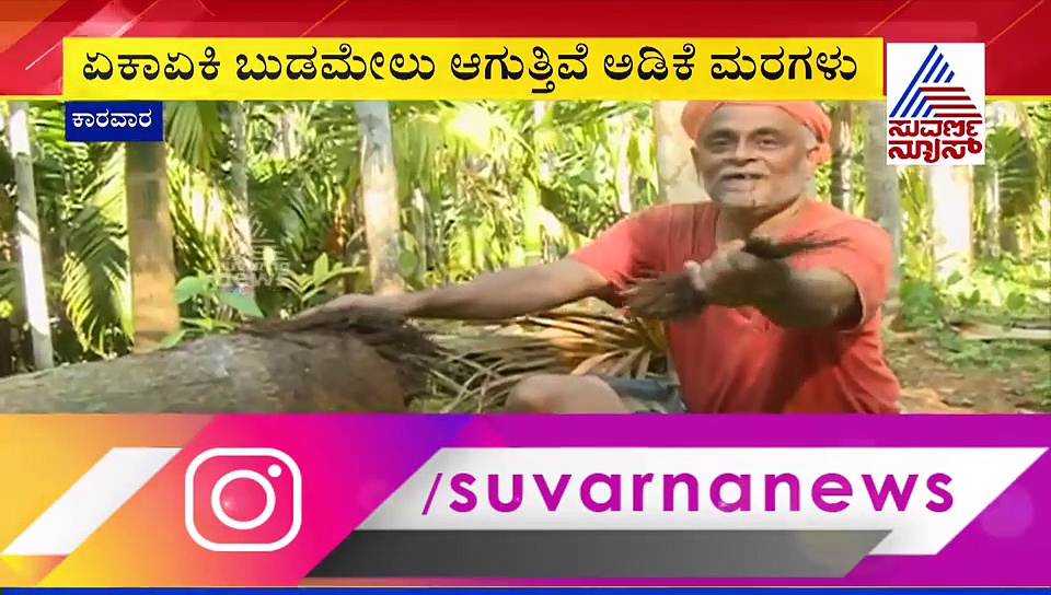 ಫಸಲಿಲ್ಲದೆ ಕಂಗಾಲಾಗಿರುವ ಅಡಿಕೆ ಬೆಳೆಗಾರರಿಗೆ ಮತ್ತೊಂದು ಶಾಕ್..!