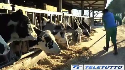 Video News - FILIERE AGRICOLE AUTOSUFFICIENTI