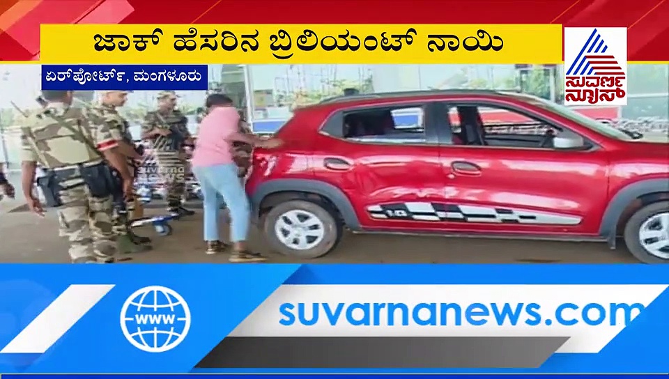 ಮಂಗಳೂರು ಏರ್‌ಪೋರ್ಟ್‌ನಲ್ಲಿ ಬಾಂಬ್ ಪತ್ತೆ ಹಚ್ಚಿದ ಶ್ವಾನ ಈಗ ಫುಲ್ ಫೇಮಸ್.!