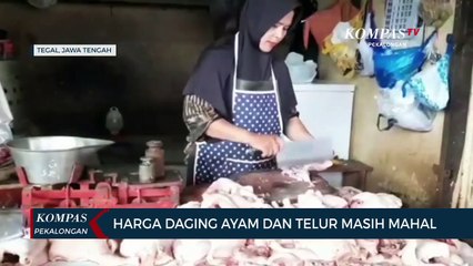 Harga Daging Ayam dan Telur Belum Juga Turun