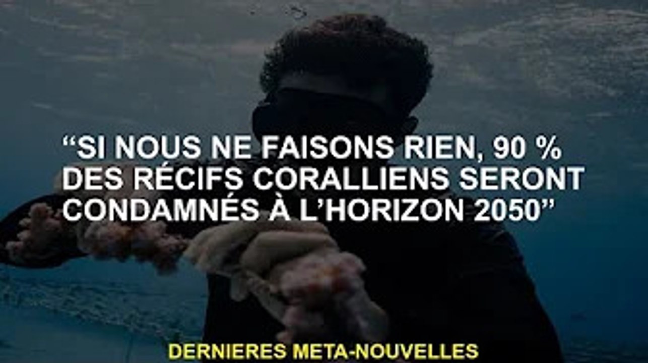 "Si nous ne faisons rien, 90% des récifs coralliens seront détruits d'ici 2050"