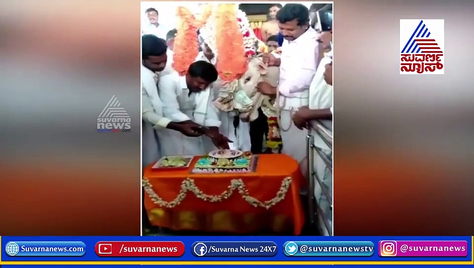 ಚಿಕ್ಕರಸಿನಕೆರೆ ಬಸಪ್ಪನಿಗೆ ಹುಟ್ಟು ಹಬ್ಬ ಸಂಭ್ರಮ!