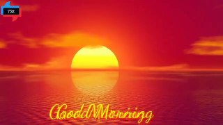 Good Morning Bhakti Song StatusThe Status ,New Video Song Whatsapp Status ,lovestatus,#Lovewhatsappstatus,#Goodmorninglove,#loveme,#Whatsappvideo,#lovevideo,#Lovelycouple,#hotlovecouple,#Xxxxwhatsappstatus,#Myfirstlove,#mylovelygf,#Mylovely,#lo,Zone_360p