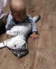 Kitty loves baby so much