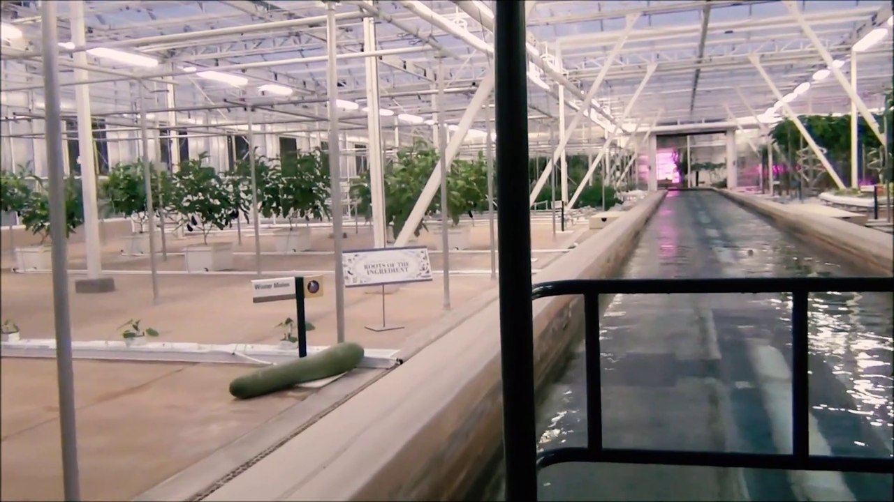 Living With The Land Dark Ride / Boat Ride (Epcot Theme Park - Orlando, Florida) - 1080p Full Dark Ride Experience