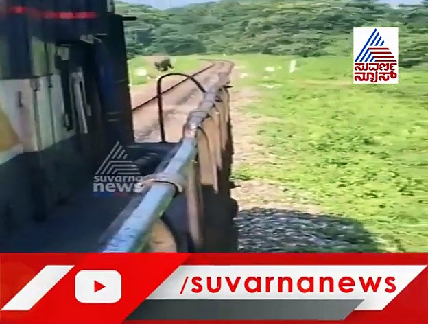 ಆನೆ ಬರುತ್ತಿರುವುದ ಕಂಡು ರೈಲನ್ನೇ ನಿಲ್ಲಿಸಿದ ಚಾಲಕ..ವಿಡಿಯೋ