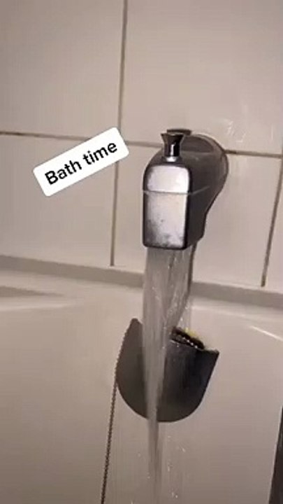 My Cat Bath