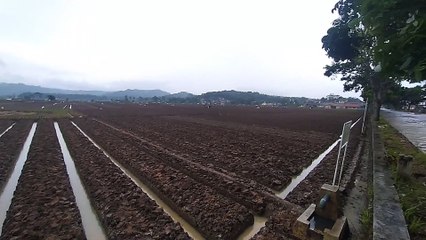 KALAU GA DI REKAM GA AKAN ADA YANG TAU BETAPA INDAHNYA PERTANIAN SAWAH LEGA CIKIJING CIBODAS