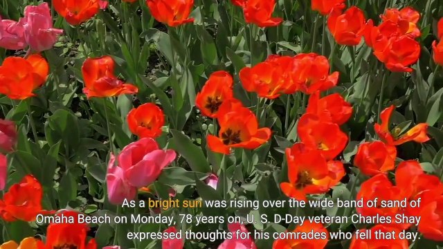 Crowds Honor WWII Veterans At Normandy D Day Celebrations