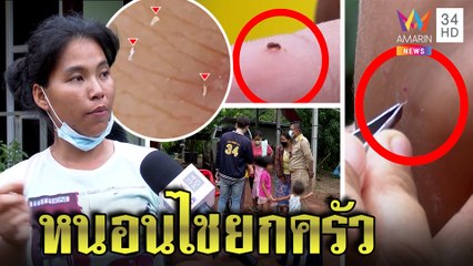 สะพรึงทั้งหมู่บ้านหนอนไชร่างสาวกรีดยางลามติด 8 ชีวิต เผยโฉมหลังฟักตัวมีปีก | ทุบโต๊ะข่าว | 06/06/65