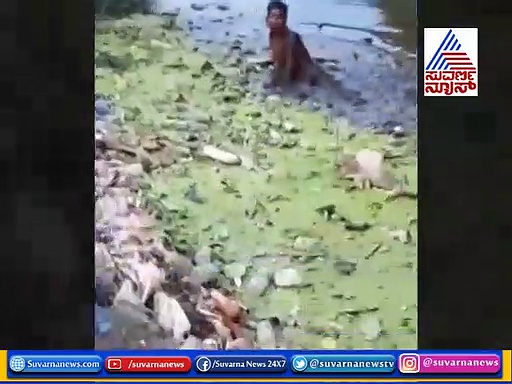 ವಿಜಯಪುರ: ಚರಂಡಿ ನೀರಿನಲ್ಲಿ ಈಜಾಡಿದ ಯುವಕ, ವಿಡಿಯೋ ವೈರಲ್