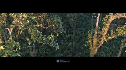 Sherdil,The Pilibhit Saga , 'Dhoop Paani Bahne De' Song, KK, Gulzar Saab, Shantanu, Srijit