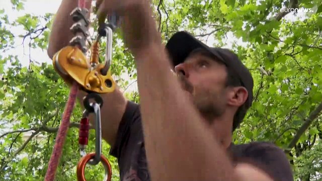 Активисты спасли от вырубки деревья у Эйфелевой башни