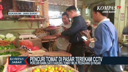 Satu Karung Tomat Pedagang Raib Dicuri