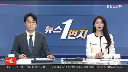 이재명 '불체포 특권'…경찰 "정치적 고려 안 해"