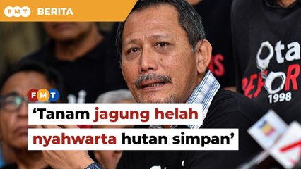 NGO dakwa Selangor cadang tanam jagung hanya ‘helah’ nyahwarta kawasan hutan simpan