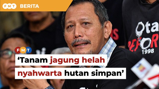 NGO dakwa Selangor cadang tanam jagung hanya ‘helah’ nyahwarta kawasan hutan simpan
