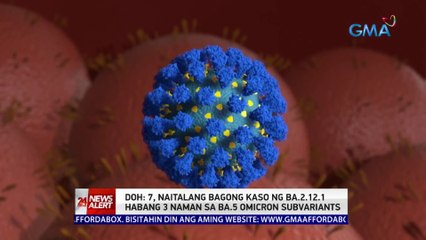 DOH: 7, naitalang bagong kaso ng BA.2.12.1 habang 3 naman sa BA.5 Omicron subvariants | 24 Oras News Alert