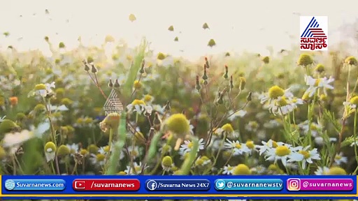 ಮುಟ್ಟಿನ ನೋವು ಕಡಿಮೆ ಮಾಡುವ ಸರಳವಾದ ಮನೆಮದ್ದುಗಳು