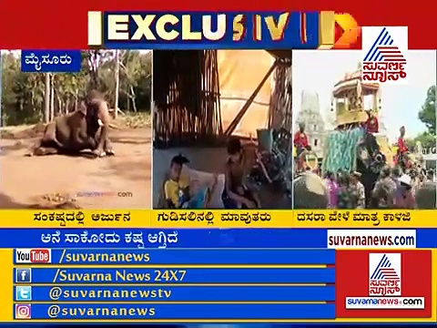ಅಂಬಾರಿ ಹೊತ್ತಿದ್ದ ಅರ್ಜುನನಿಗೆ ಸಂಕಷ್ಟ: ಮಾವುತ ಬಾಯ್ಬಿಟ್ಟ ಕರಾಳ ಸತ್ಯ!