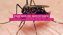 Piqûres de moustique : voilà la couleur à éviter pour ne pas les attirer