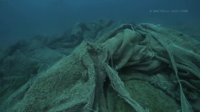 Voluntarios en todo el mundo se sumergen para limpiar los fondos marinos
