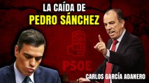 Carlos García Adanero: “Pedro Sánchez se está hundiendo, no puede engañar más”