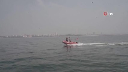 Mersin'de denize bırakılan yapay resiflerde canlı yaşam başladı