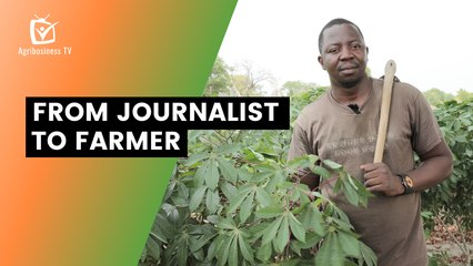 Burkina Faso: From journalist to farmer
