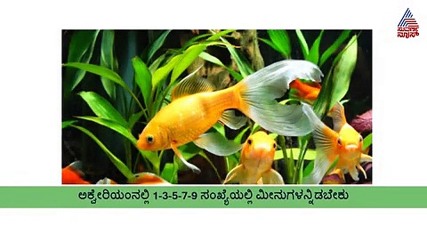 ಮನೆಯಲ್ಲಿ ಅಕ್ವೇರಿಯಂ ಎಲ್ಲಿದ್ದರೆ ಶುಭ?