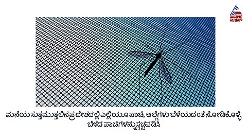 ನೈಸರ್ಗಿಕವಾಗಿ ಸೊಳ್ಳೆಗಳ ನಿಯಂತ್ರಣ ಹೇಗೆ..?
