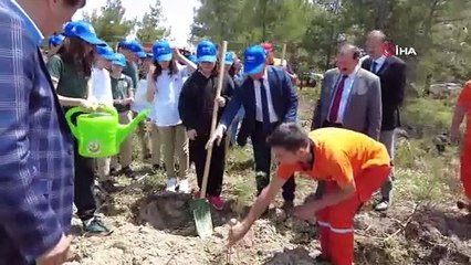 Karabük'te küle dönen orman dikilen fidanlarla yeşillenecek