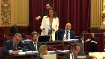 La diputada de Vox Idoia Ribas denuncia en el Parlament la falsificación de un documento pùblico