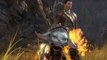Guild Wars 2 - Beta-Dankeschön-Trailer mit neuen Kampfszenen