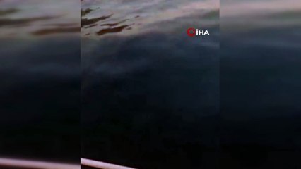 Muğla'da görüntülendi: Karadeniz'de ölüyorlar ama buraya geliyorlar