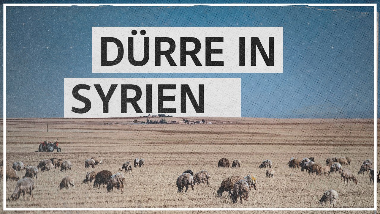 Trockenheit in Syrien: „Wir konnten kein einziges Korn ernten“