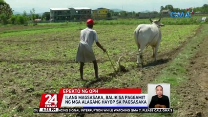 Ilang magsasaka, balik sa paggamit ng mga alagang hayop sa pagsasaka | 24 Oras