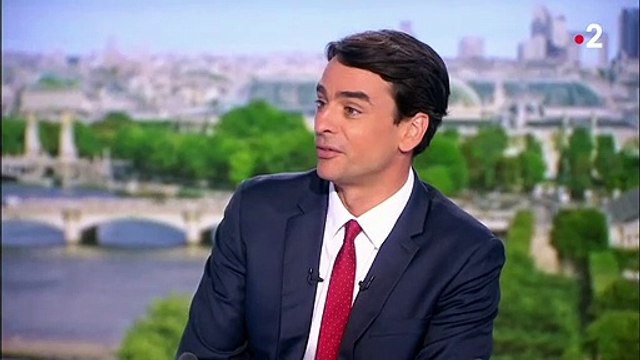 Un pigeon s'invite au 13 Heures de France 2